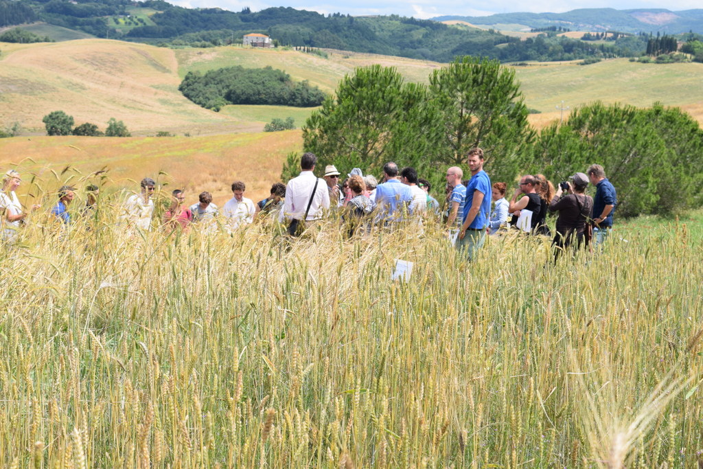 Visite ai campi sperimentali